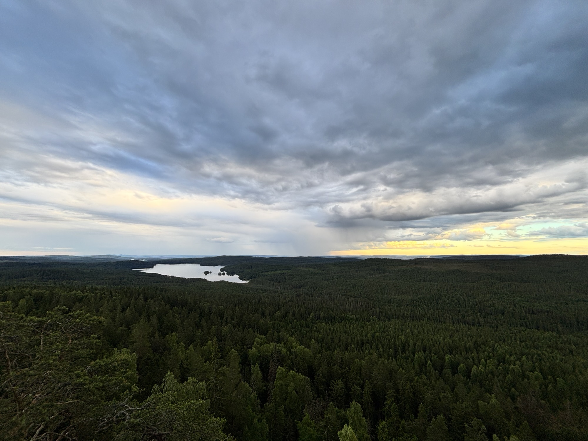 Ärtknubben – sommardagbok 24-25/6