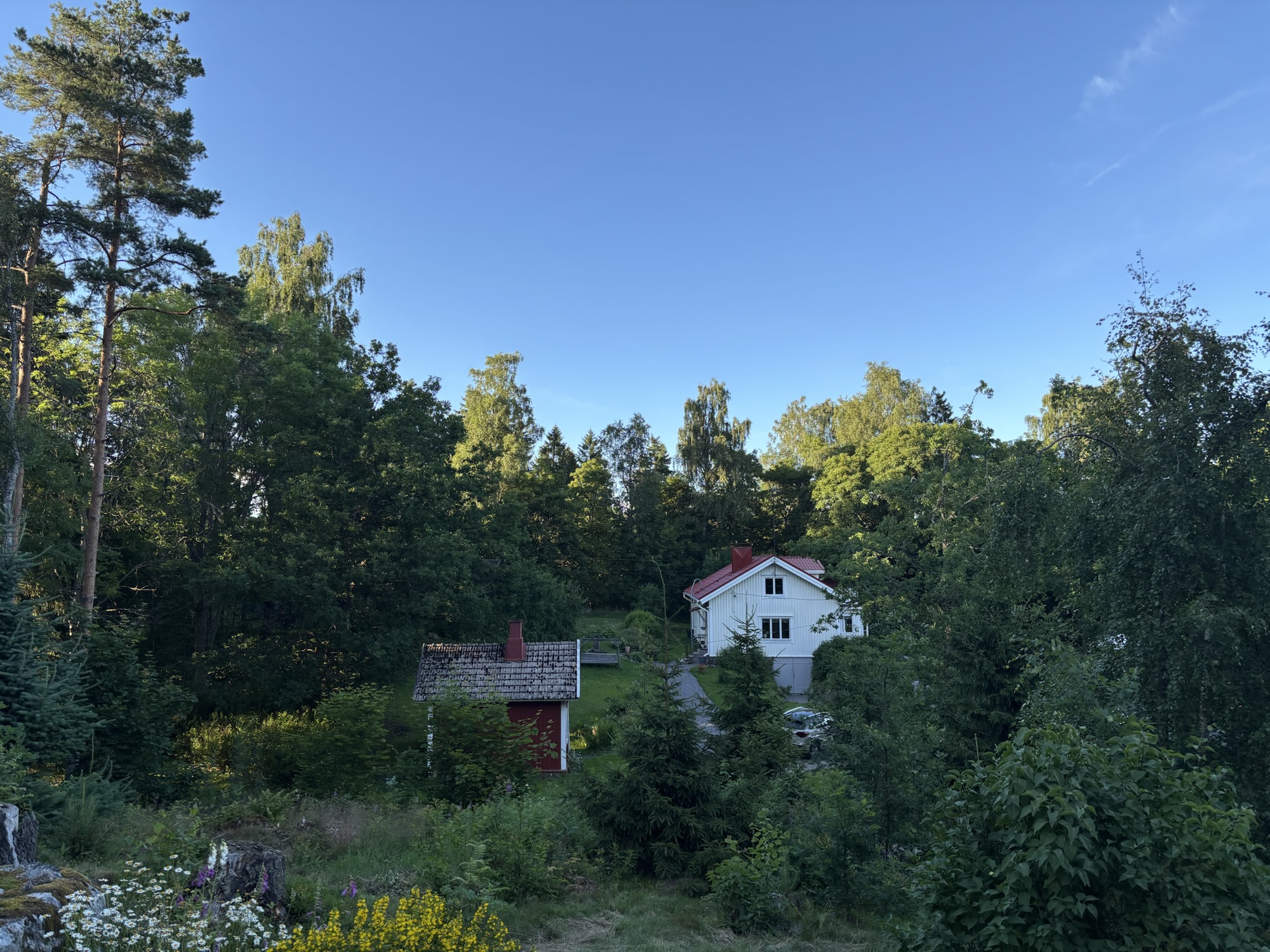 En ankomst till Box – sommardagbok 10/7