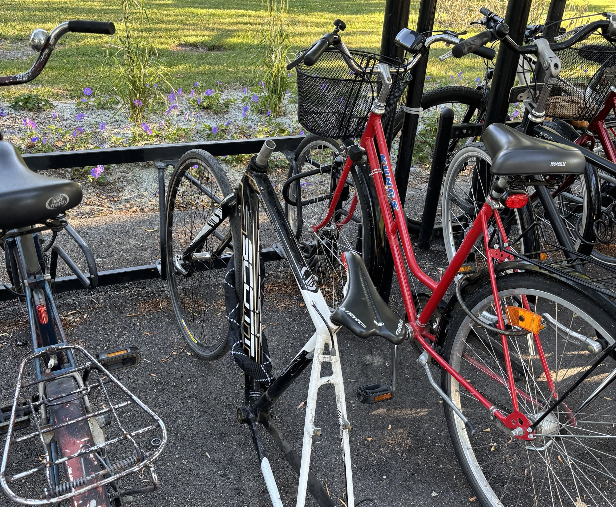 Ställ för fan inte cykeln i Norrviken – sommardagbok 17/7