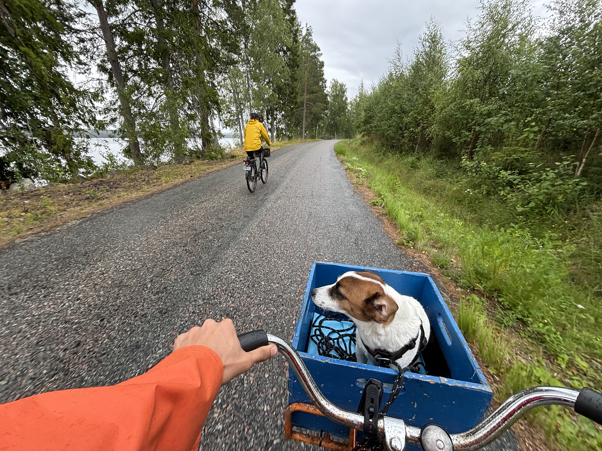 Vedhuggning i nedförsbacken – sommardagbok 25-27/7