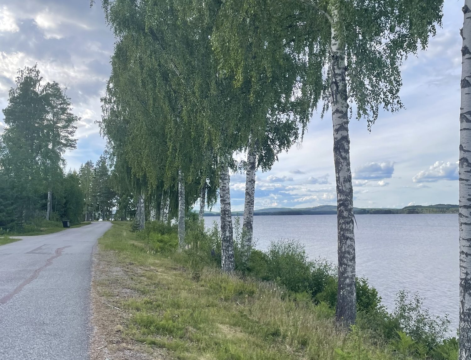 En ankomst till Söderbärke – Sommardagbok 11/6