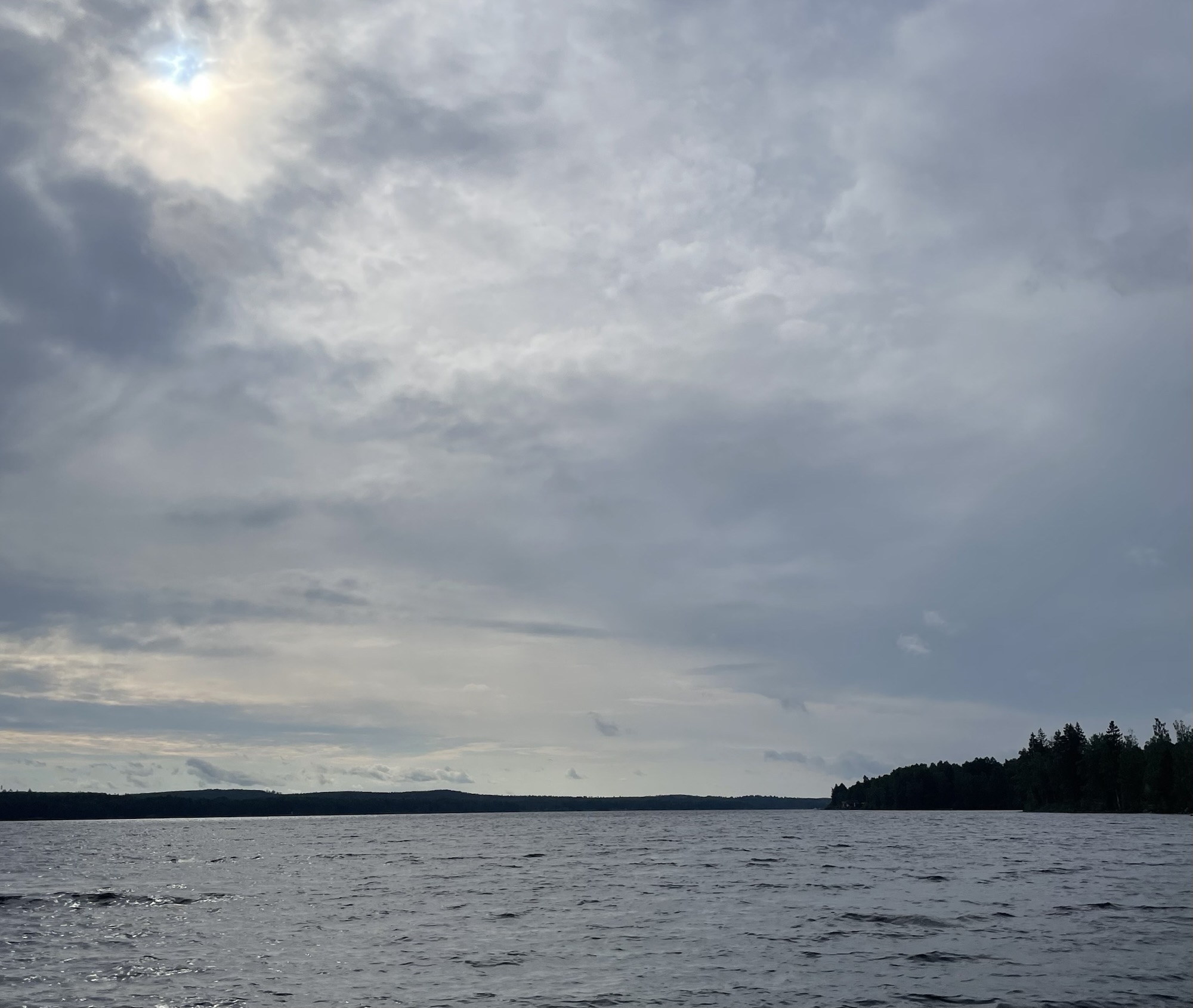 Fiske och annat – Sommardagbok 13/6