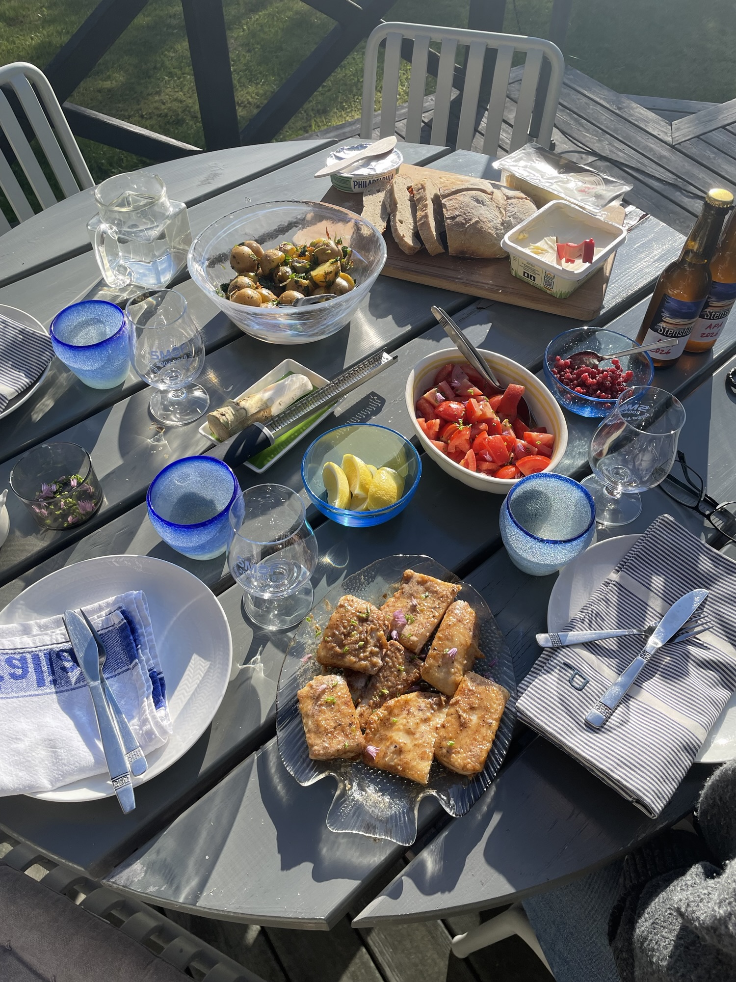 Gädda – sommardagbok 16/6